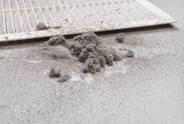 Affordable HVAC Duct Cleaning in Phenix City, AL