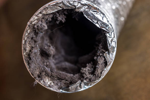 Best Air Duct Cleaning Near Me  in Phenix City, AL