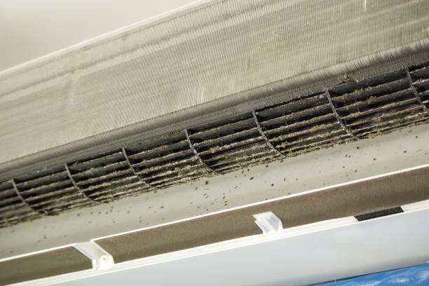 Best HVAC Air Duct Cleaning  in Phenix City, AL